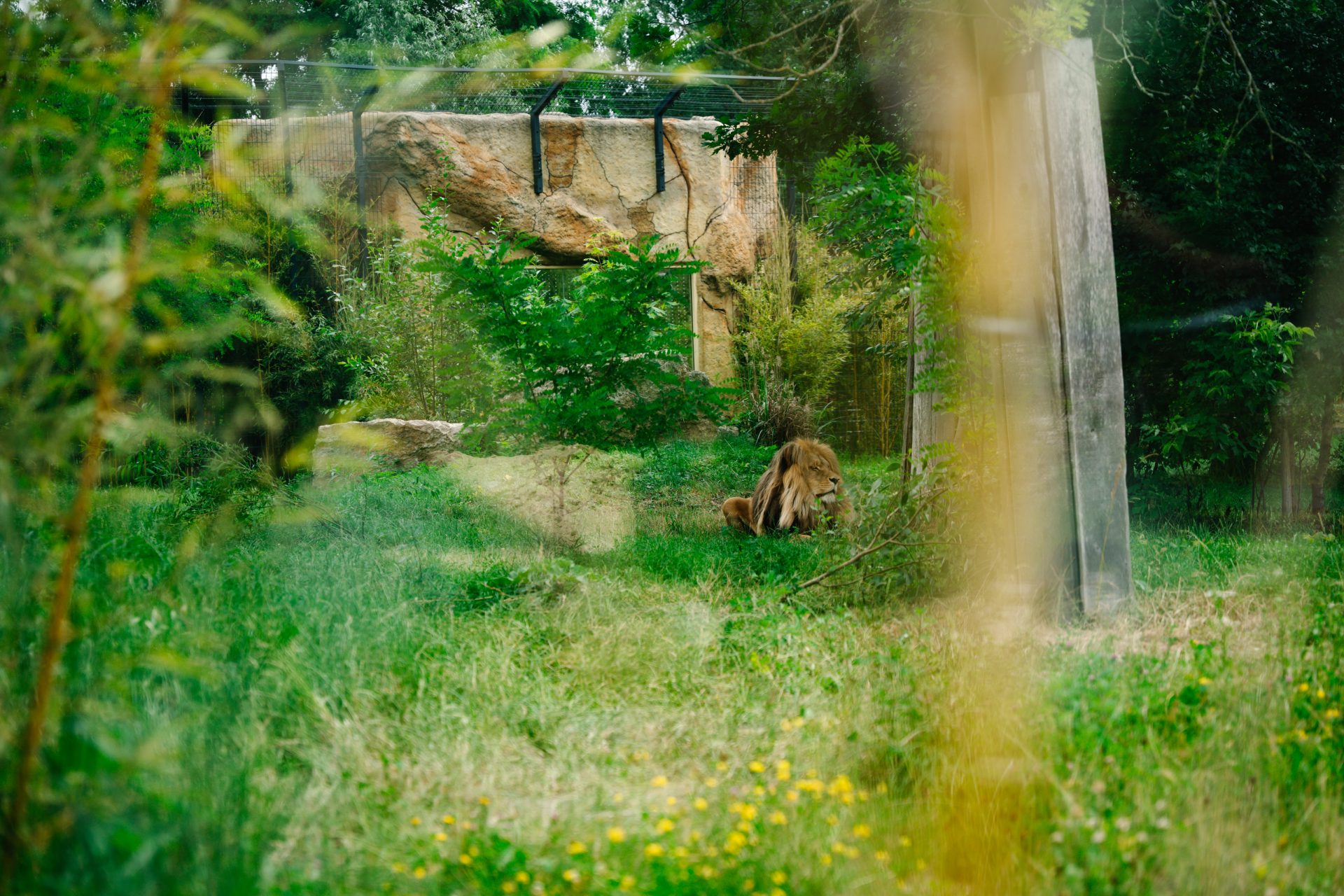 Tavascan ZOO