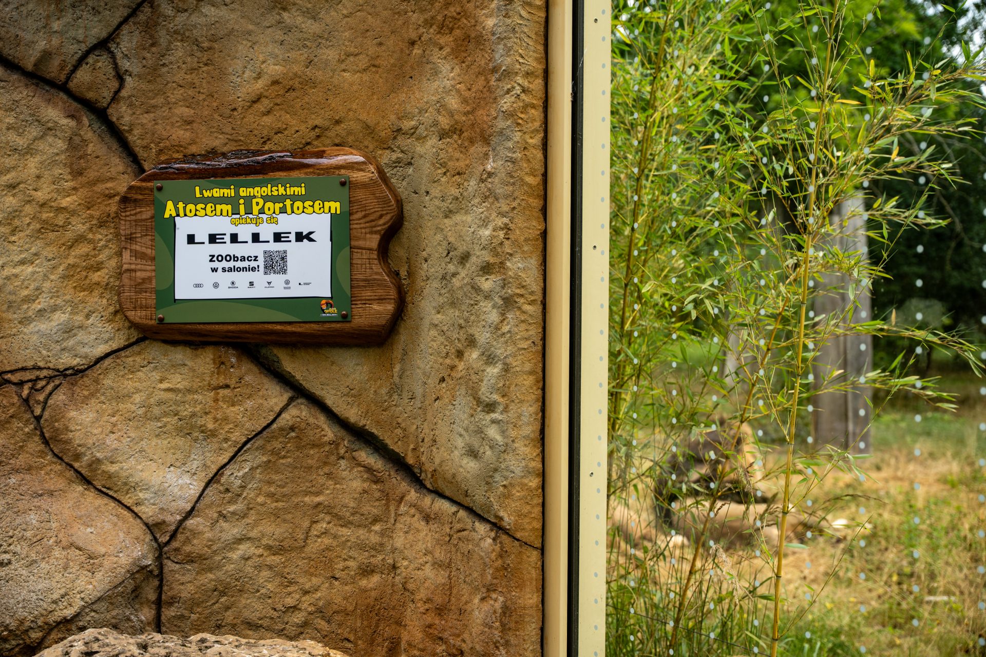 Lellek sponsorem lwów w Zoo Opole