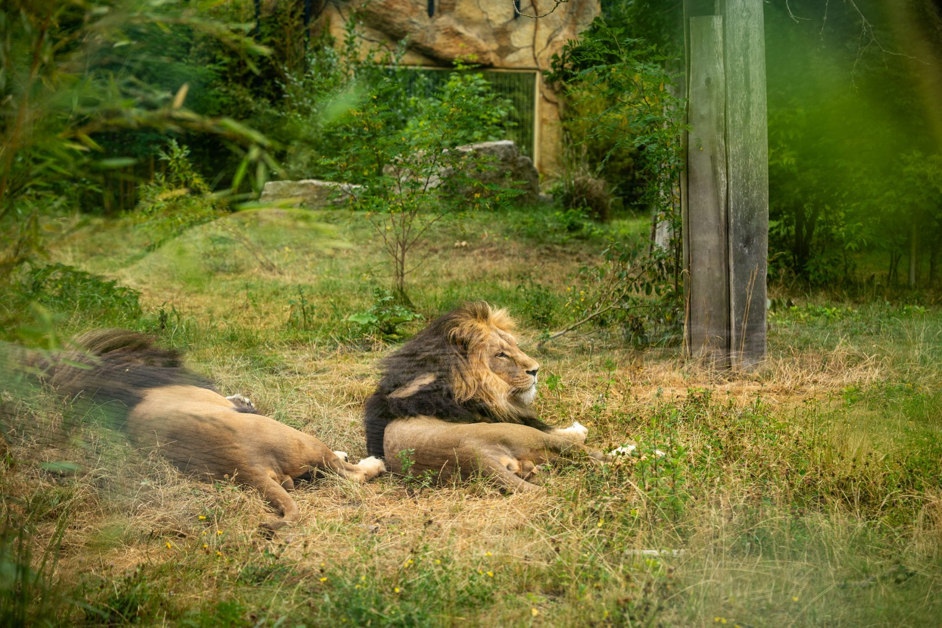 Lellek sponsorem w zoo opole
