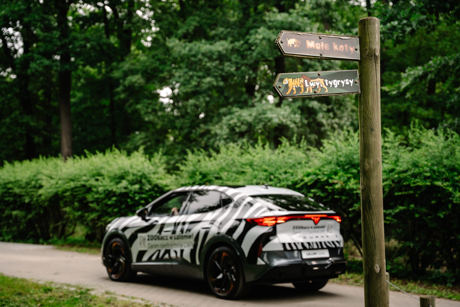CUPRA ZOO