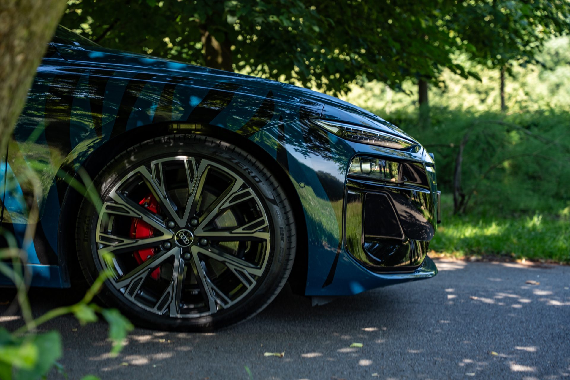 Audi ZOO