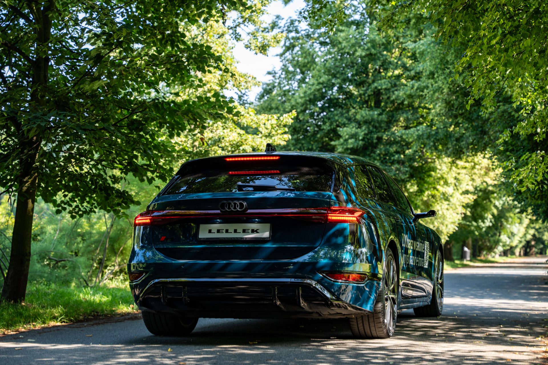 Audi ZOO