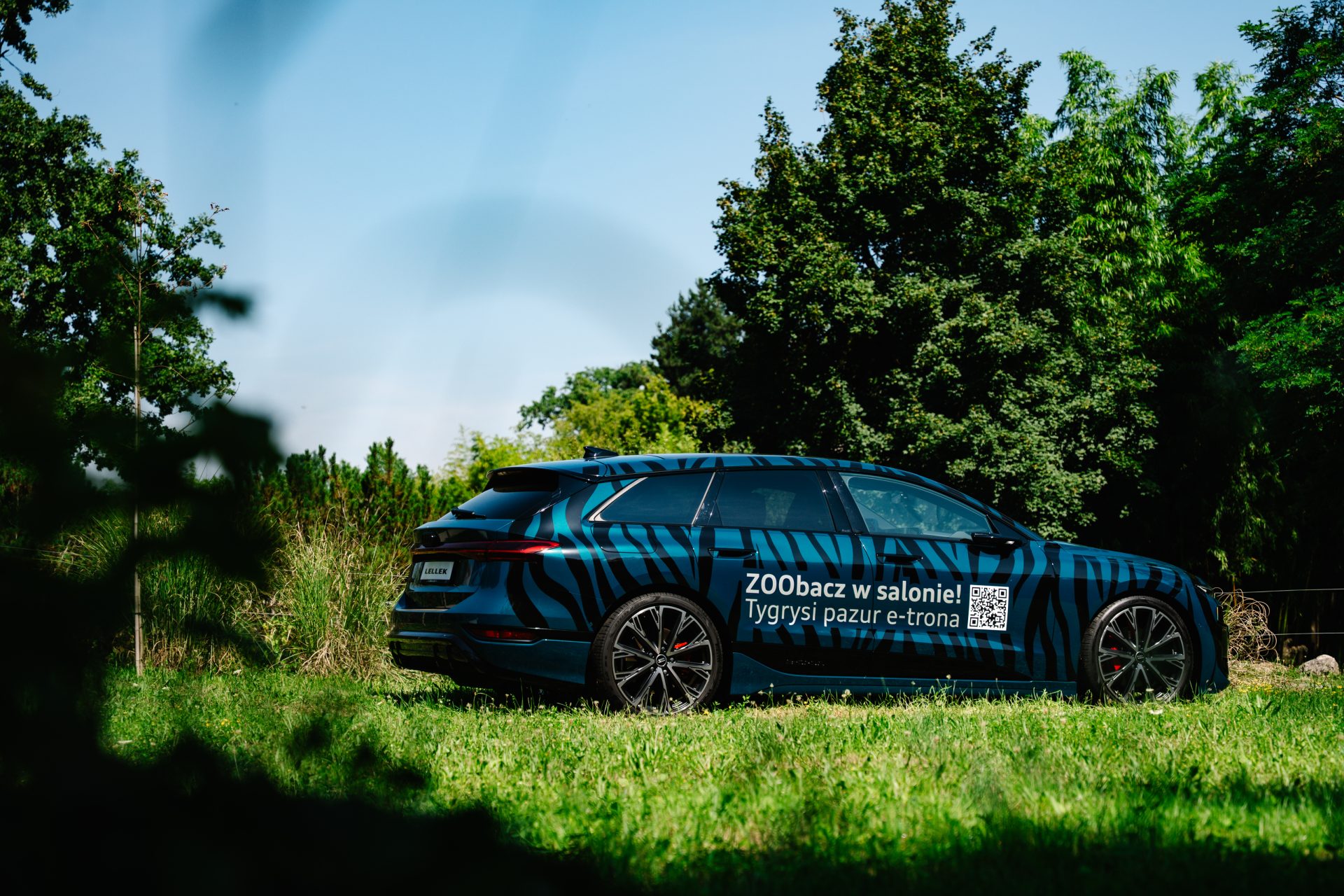 Audi ZOO