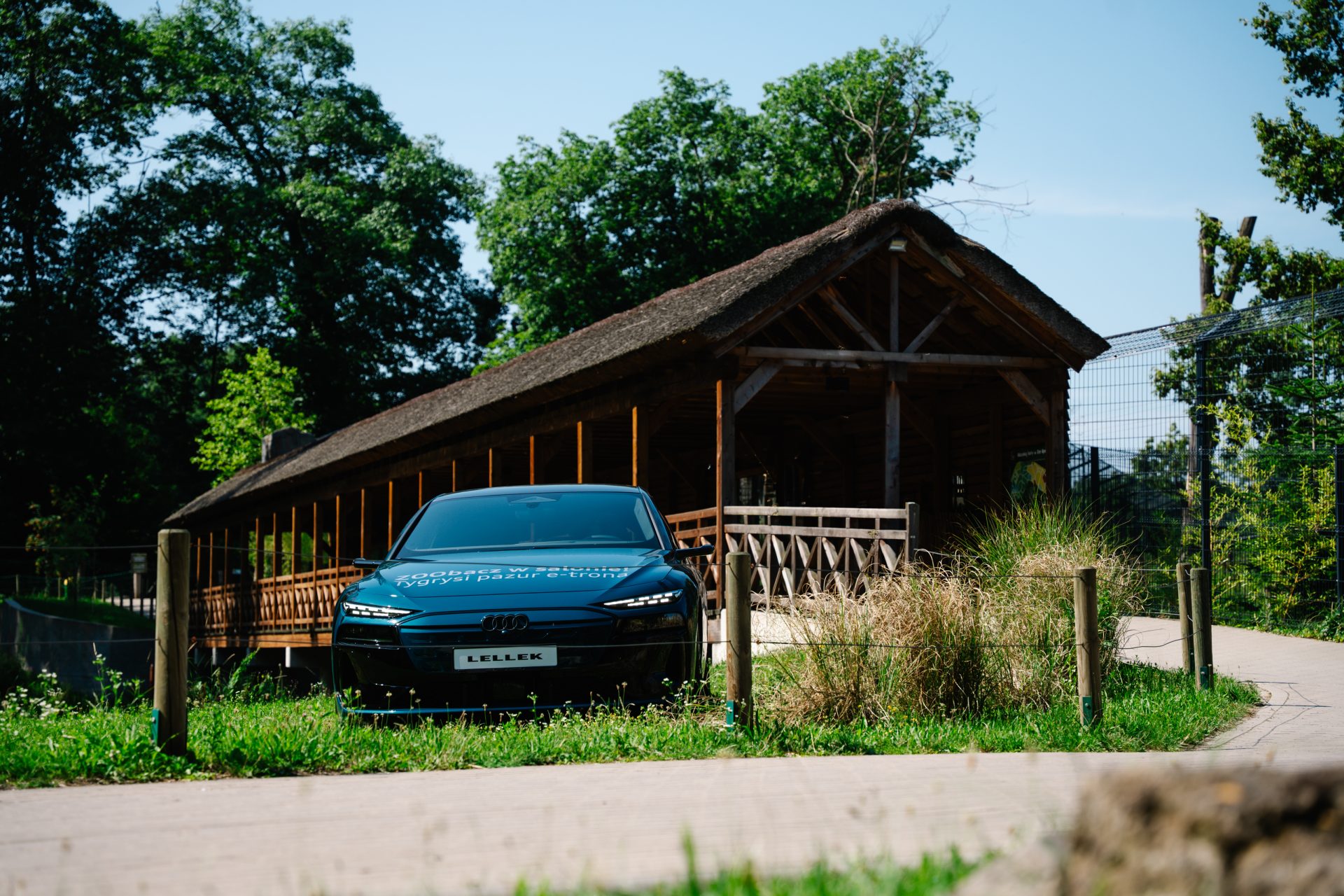 Audi ZOO