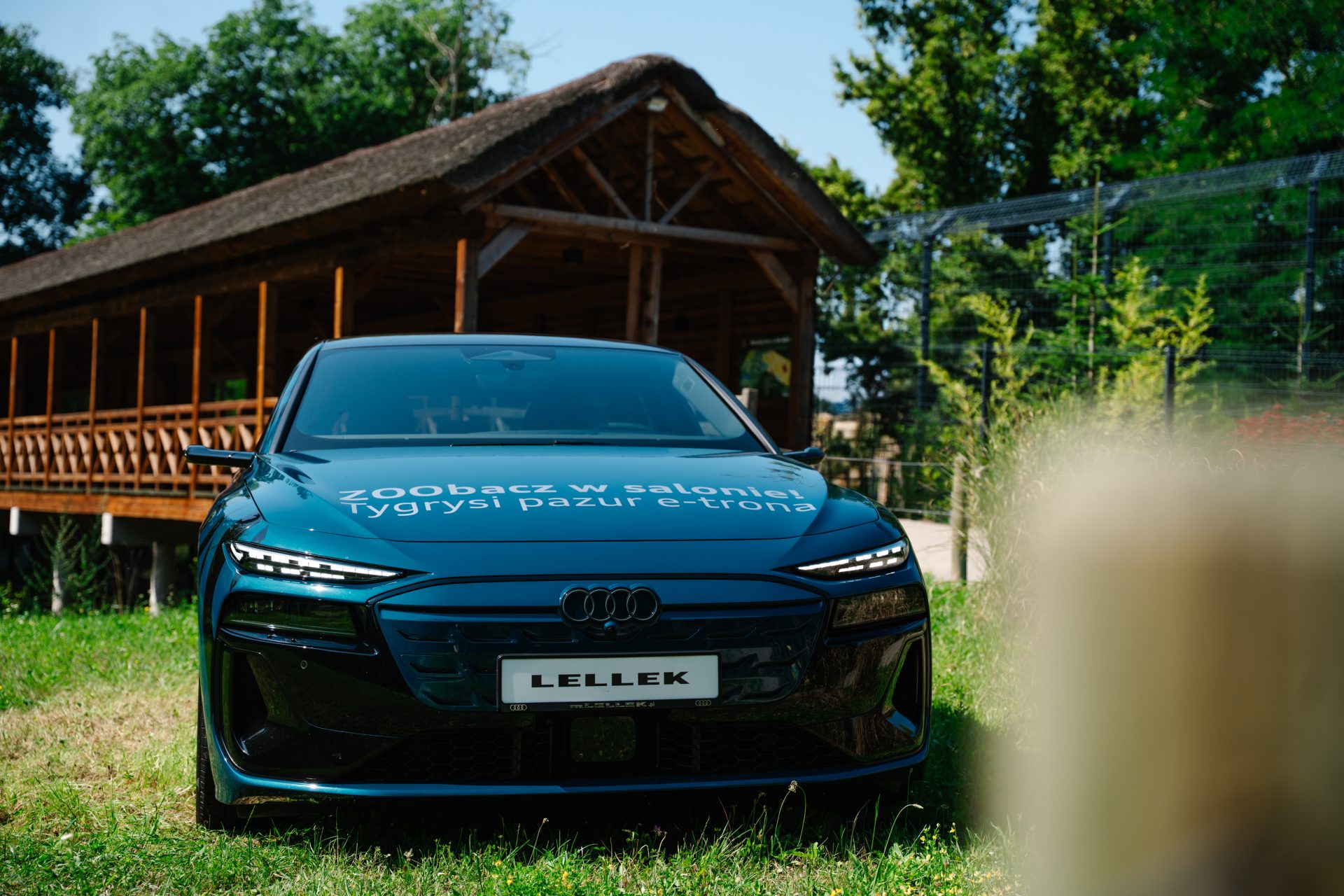 Audi ZOO
