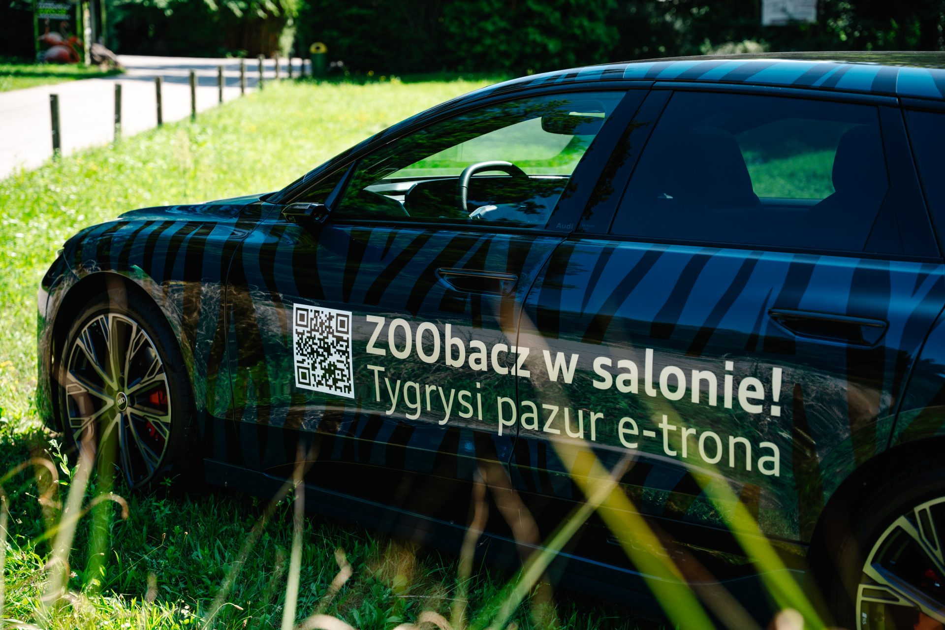 Audi ZOO