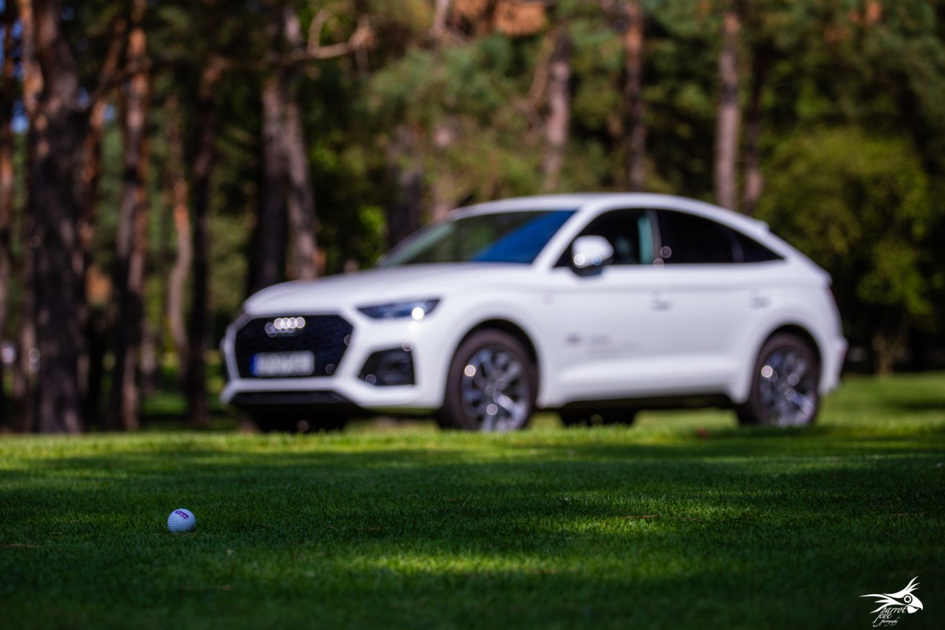 Audi golf 2025