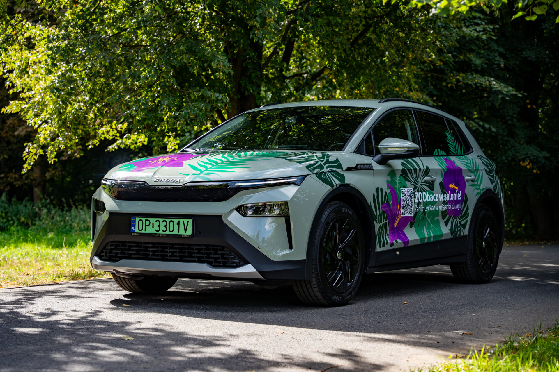 Ukwiecona Skoda Elroq w naturze