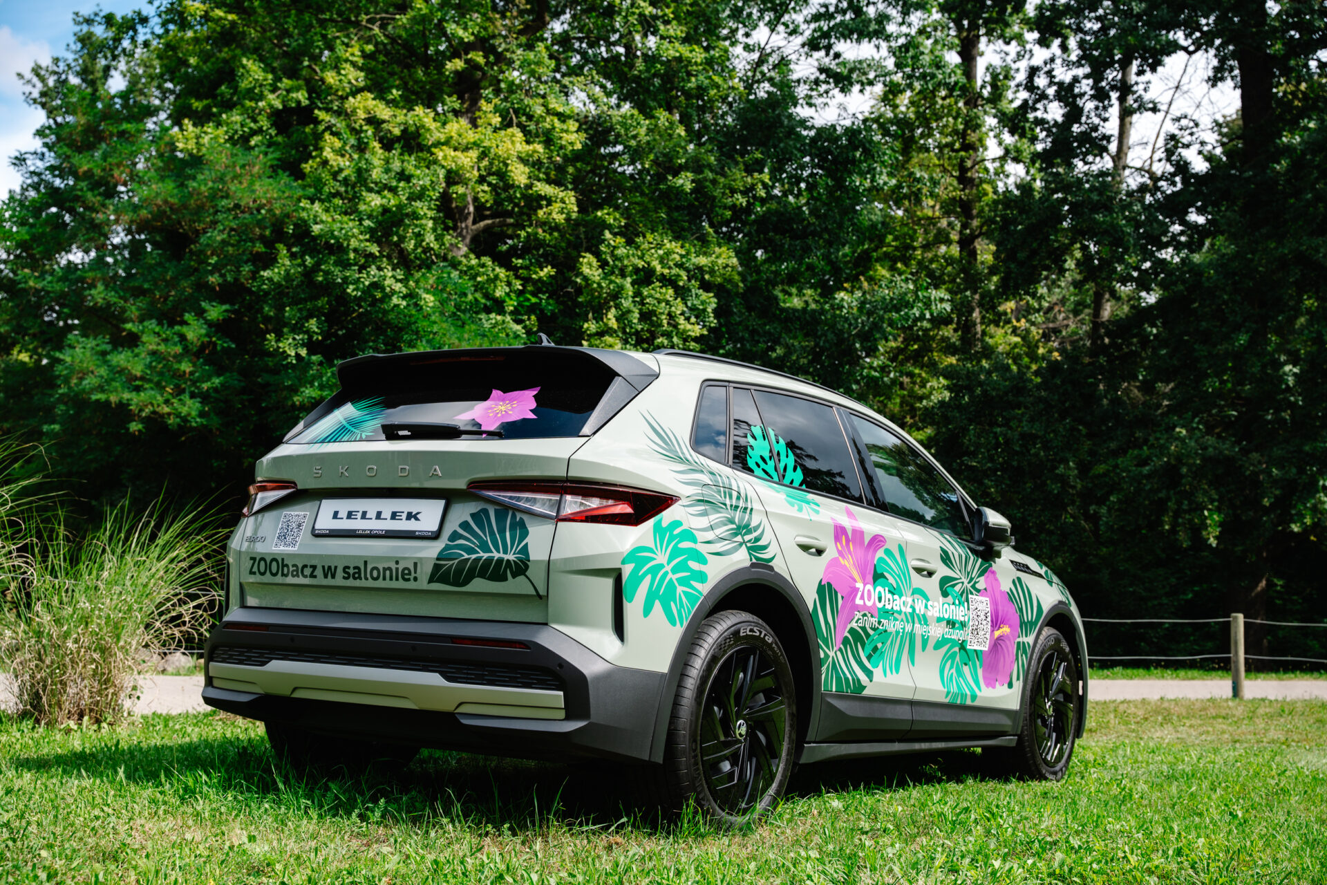 Skoda ekroq w opolskim zoo oklejona w motyw dżungli