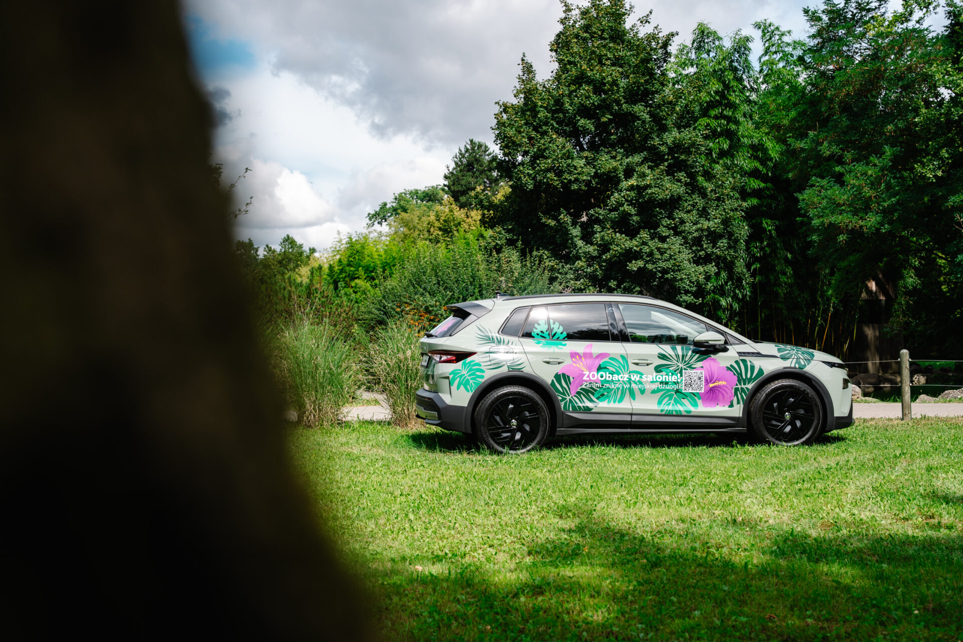 Skoda elroq okolicach wybiegu dla duzych kotow opolskiego zoo