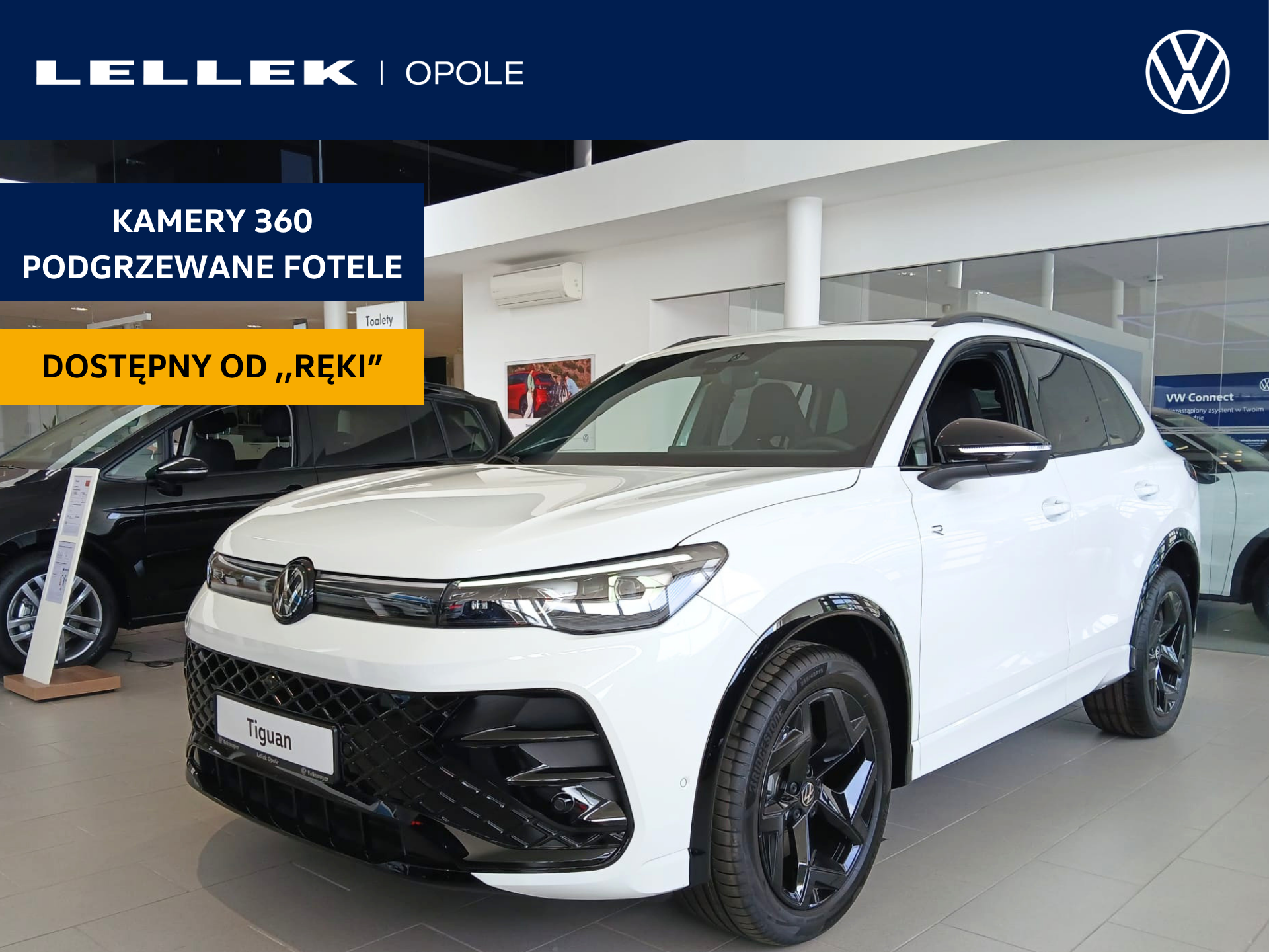 Volkswagen Tiguan 2.0 TDI 4Mot R-Line Plus DSG