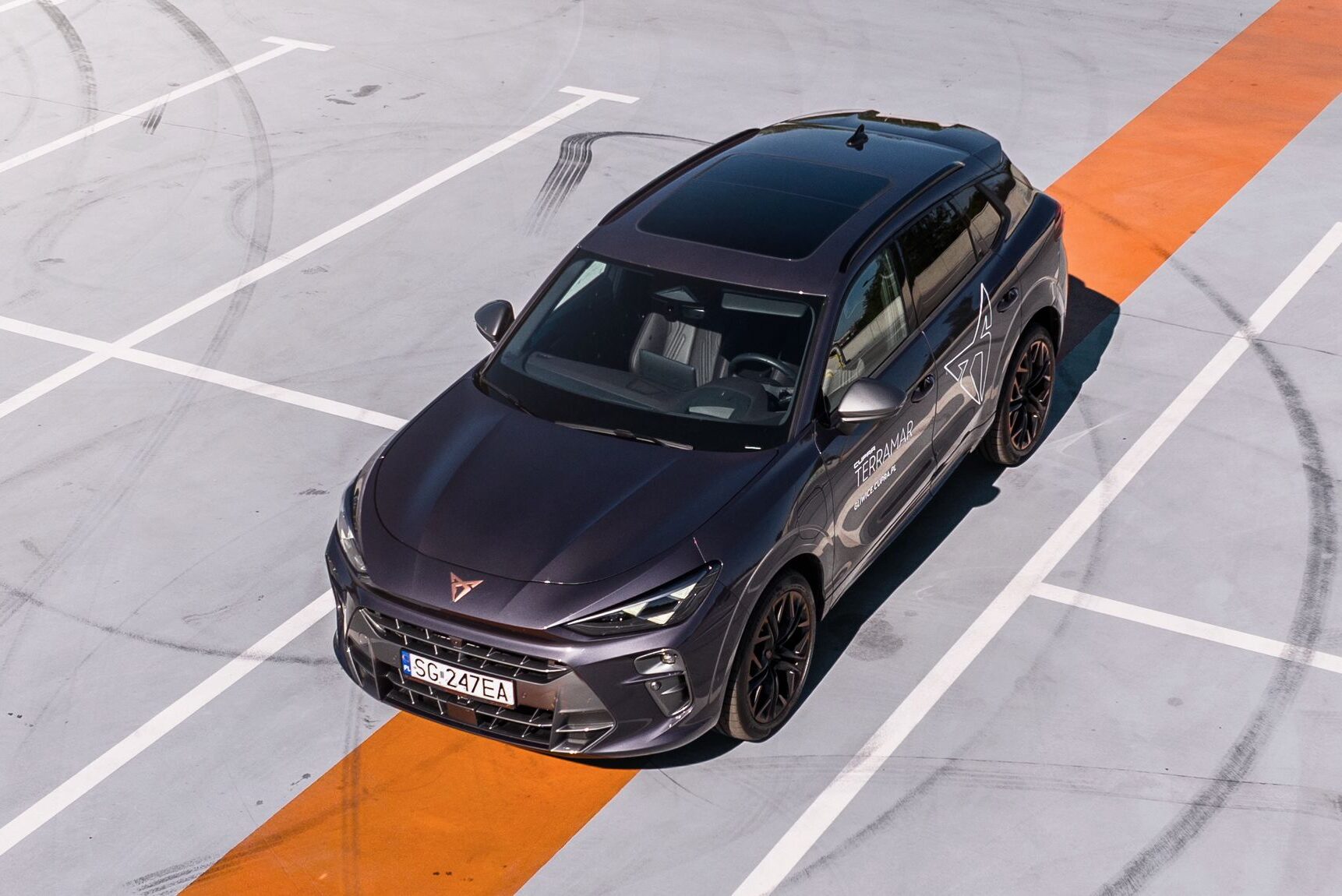cupra terramar