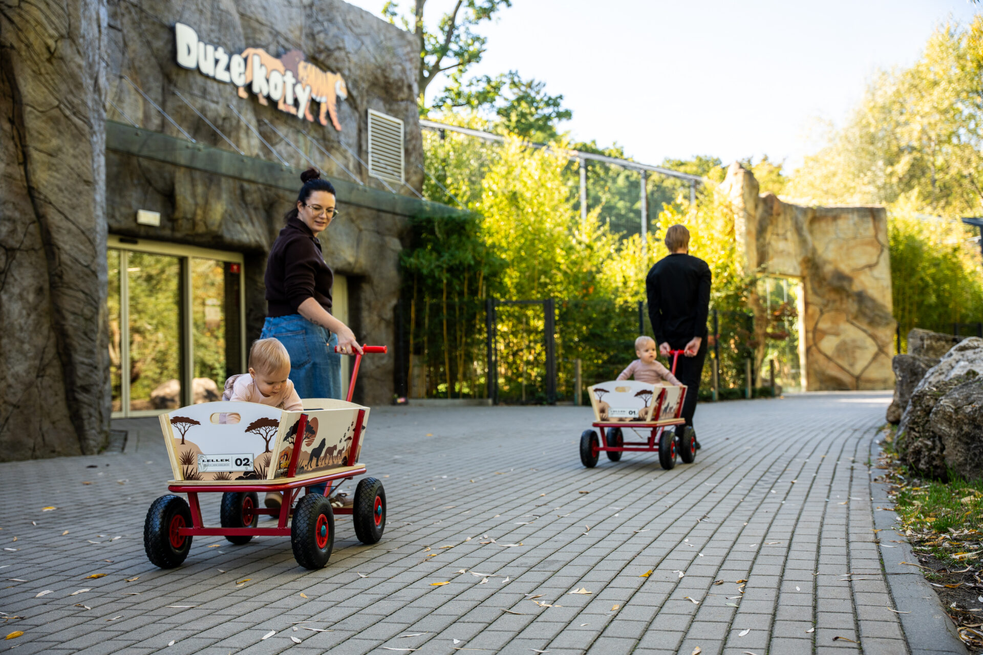 Wózki ZOO